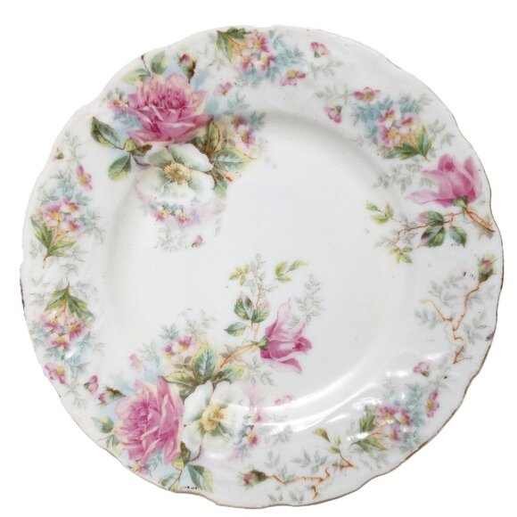 Antique BRC Viola Germany Crown Empire Duchess BR110 Floral Plate w/Gold Leaf - Picture 2 of 6